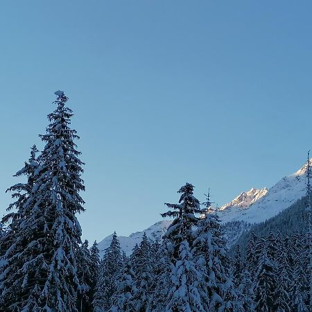 Mooshof Appartement Kaunertal Buitenkant foto